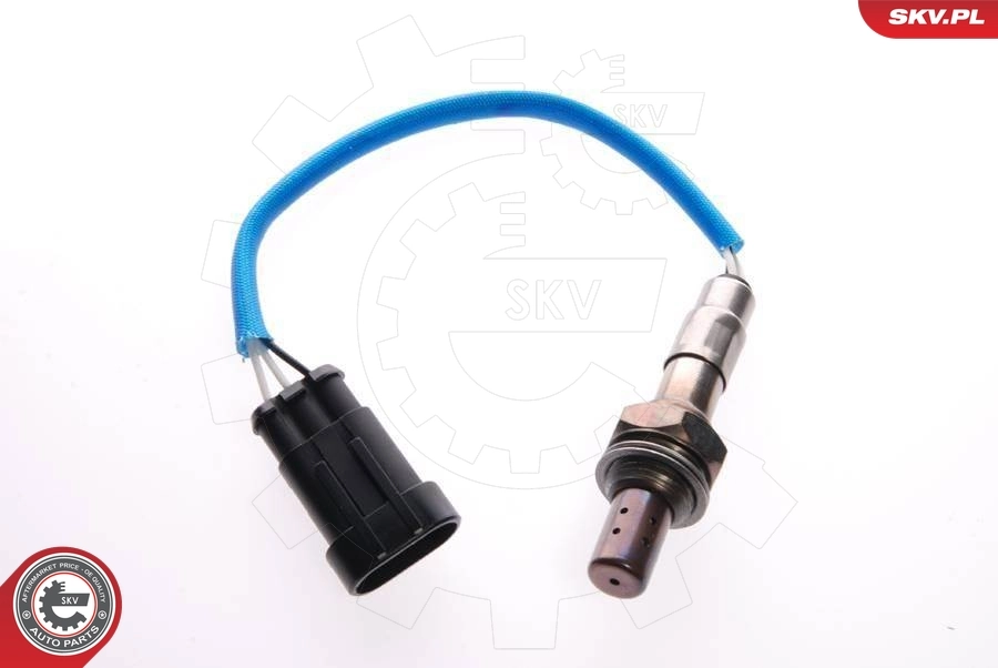 Oxygen Sensor